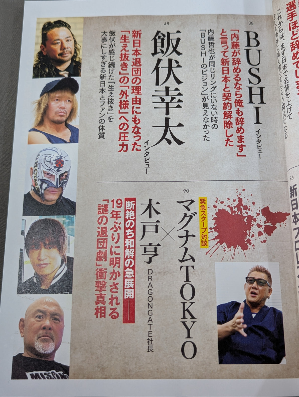 Series: Paradoxical Pro Wrestling Vol.27 Testimony New Japan Pro Wrestling "Shocking Resignation": Behind the Scenes of Love and Hate