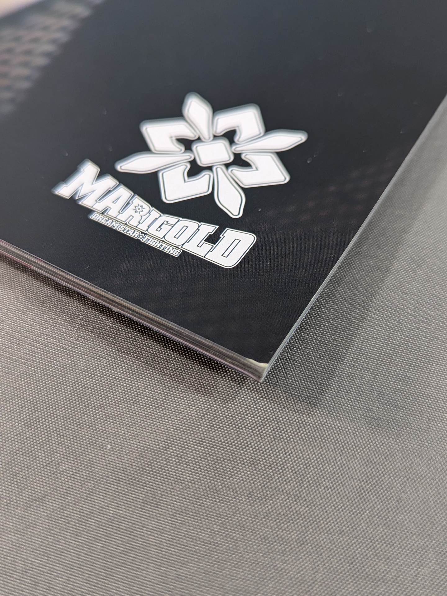 後藤智香 写真集 GOCHIKA