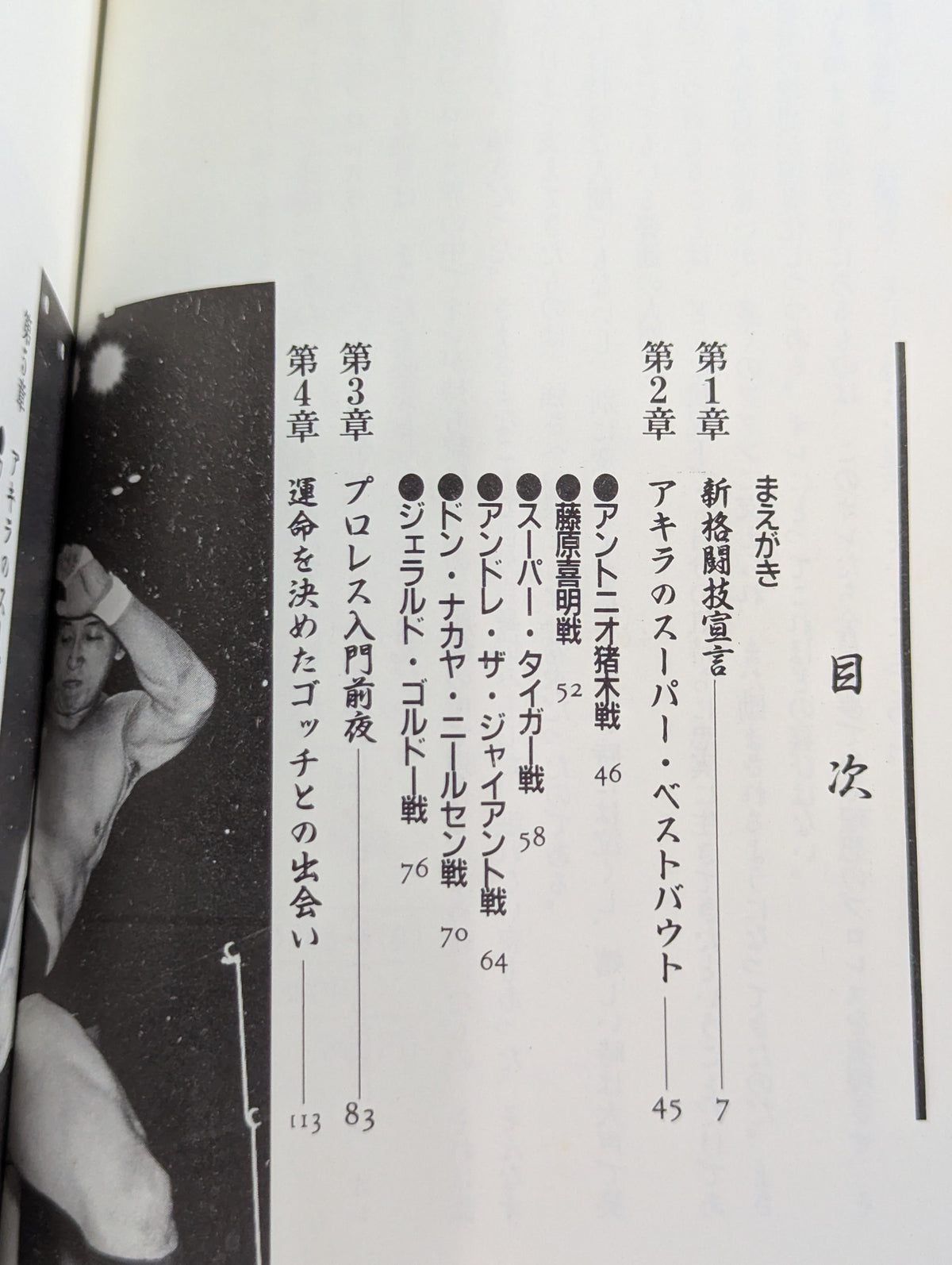 格闘王への挑戦