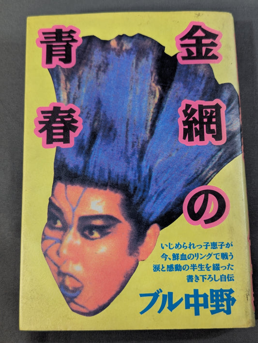 金網の青春