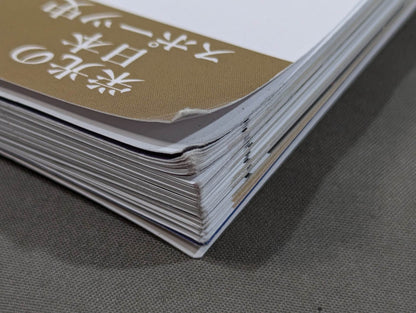 Glorious Japan Sports History Showa 100 Years Series 2 Pro Wrestling