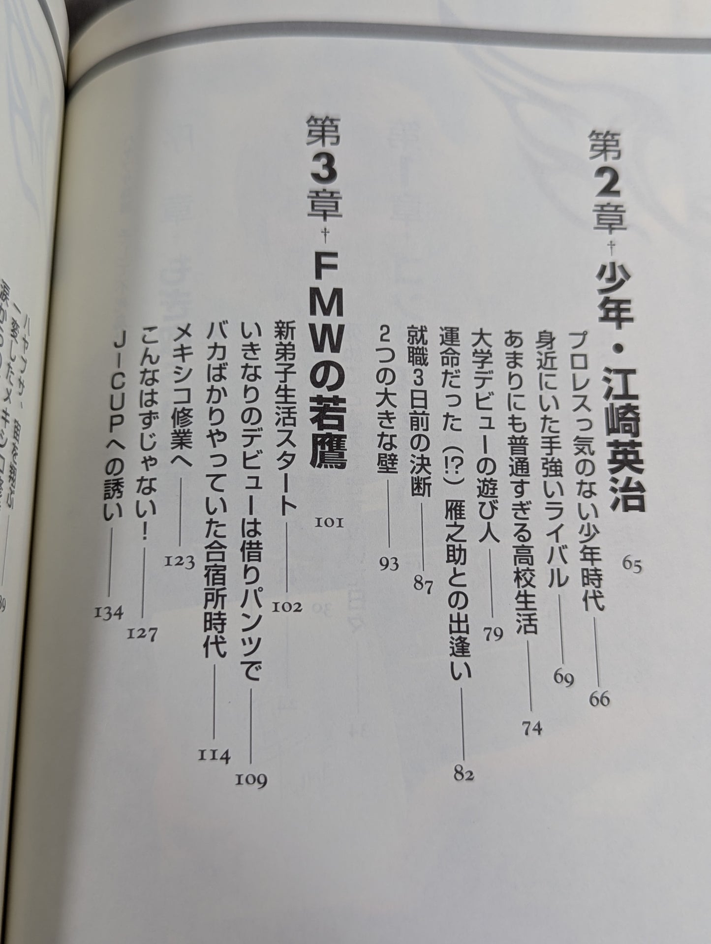ハヤブサ降臨 そして不死鳥はよみがえる