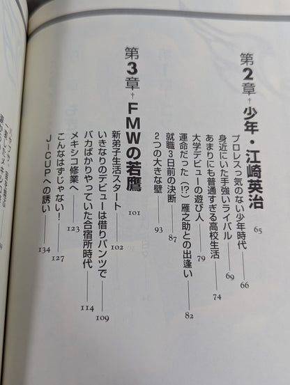 ハヤブサ降臨 そして不死鳥はよみがえる
