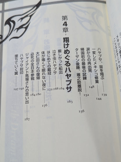 ハヤブサ降臨 そして不死鳥はよみがえる