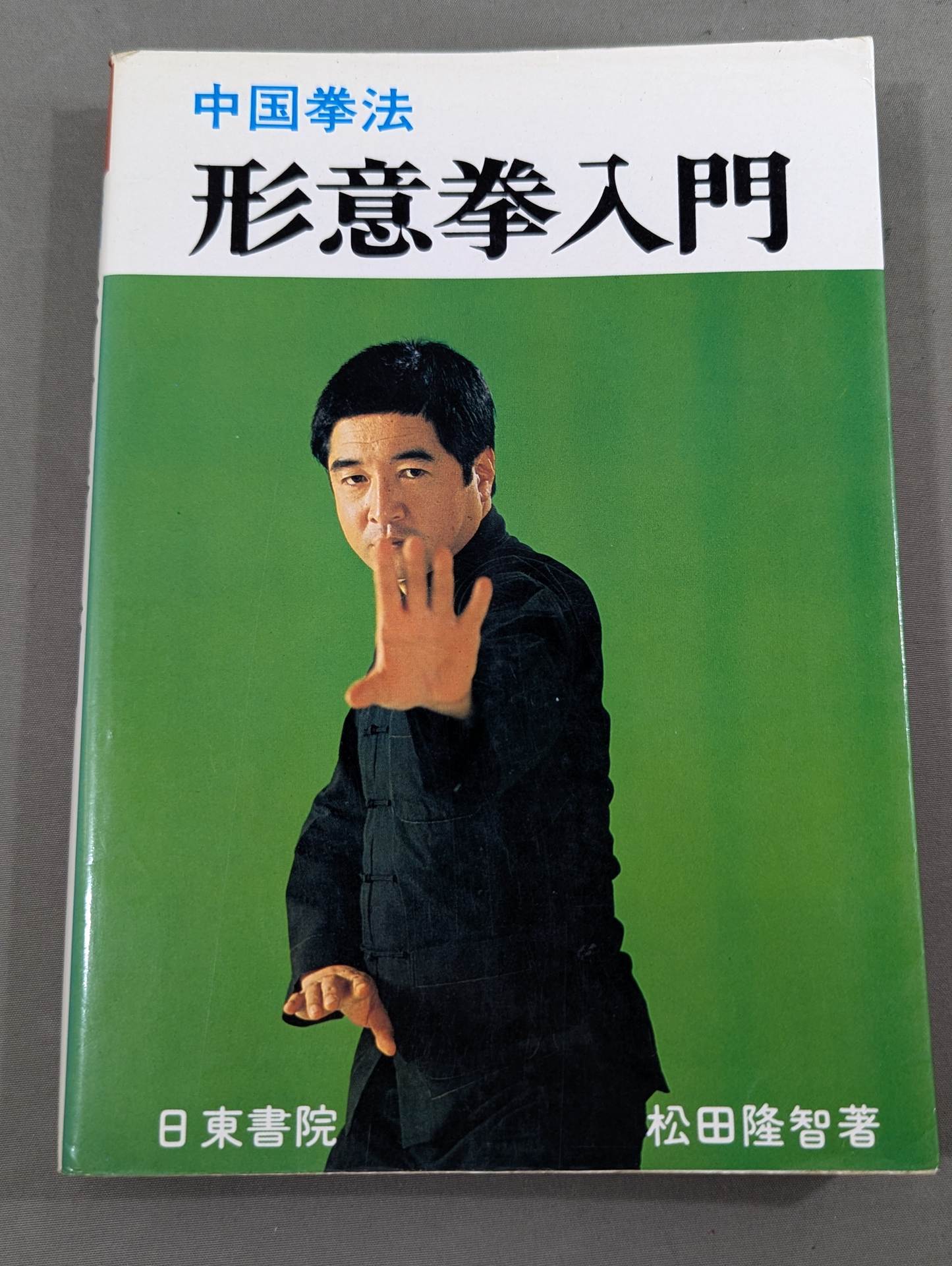 中国拳法 形意拳入門