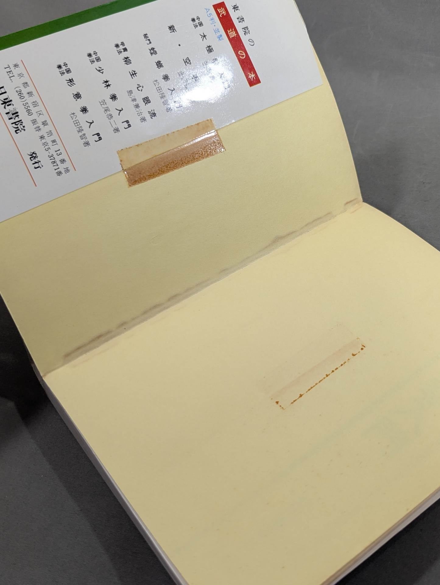 中国拳法 形意拳入門