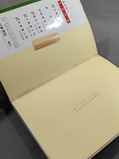 中国拳法 形意拳入門