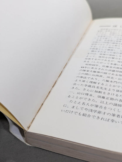 中国拳法 形意拳入門