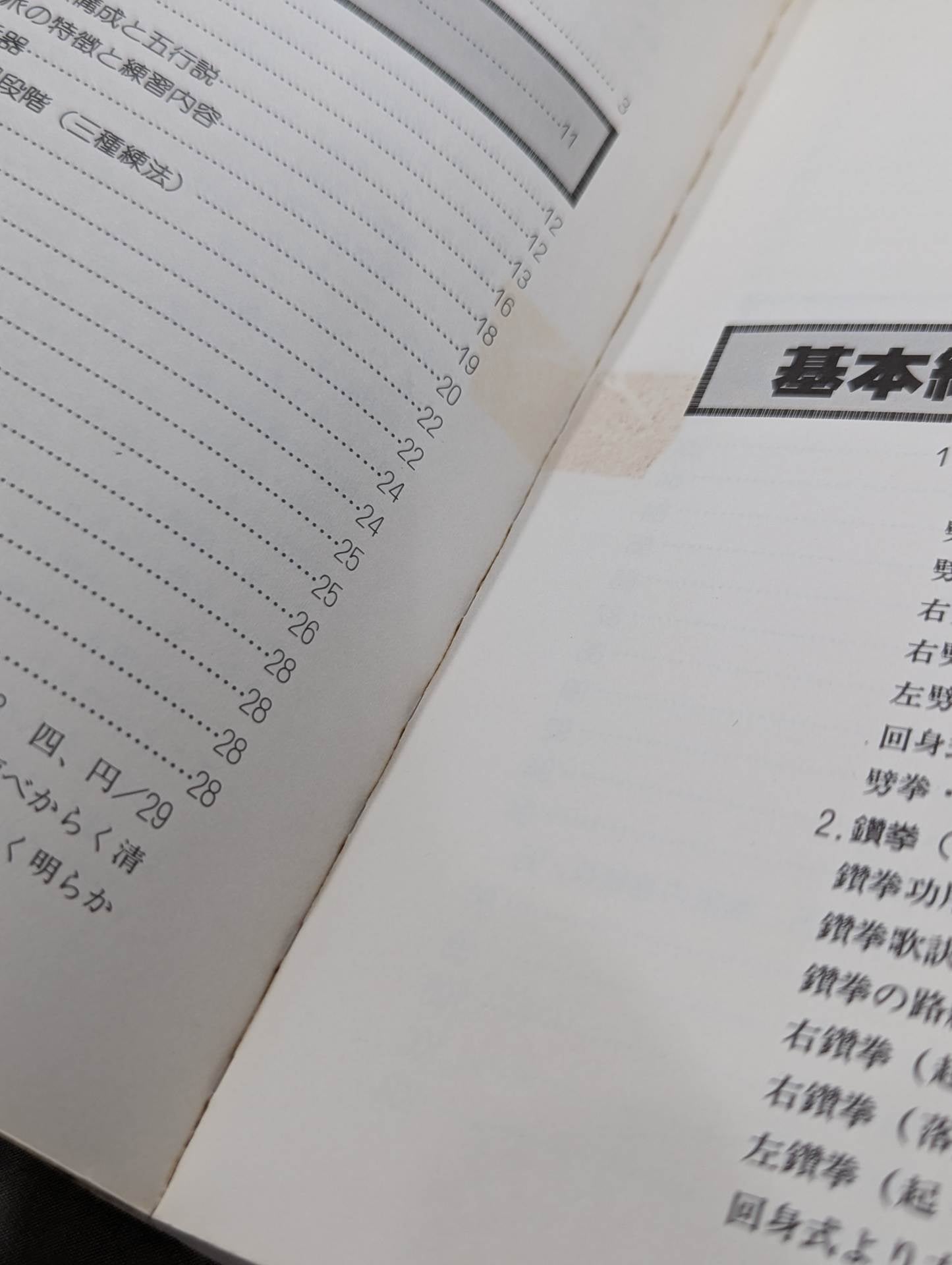 中国拳法 形意拳入門