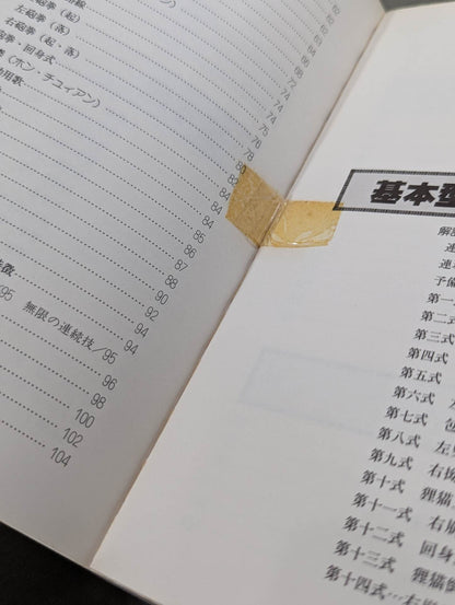 中国拳法 形意拳入門