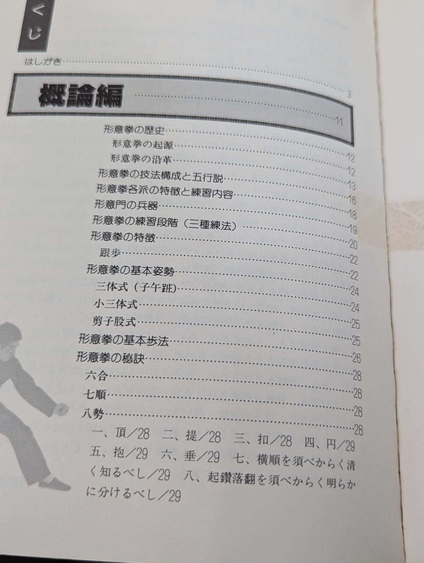 中国拳法 形意拳入門