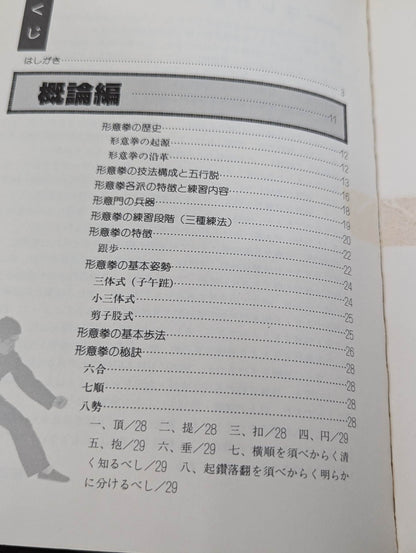 中国拳法 形意拳入門