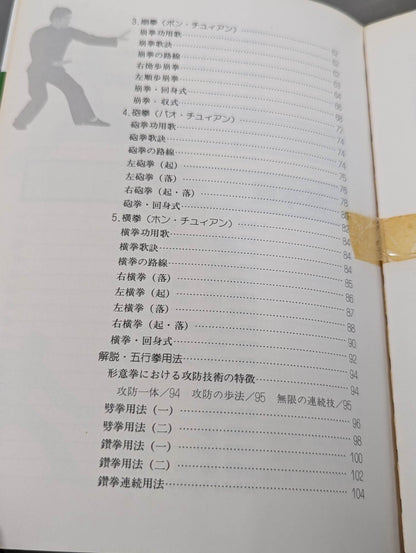 中国拳法 形意拳入門