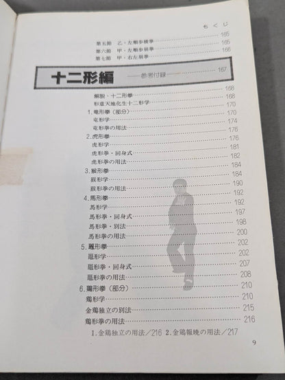 中国拳法 形意拳入門