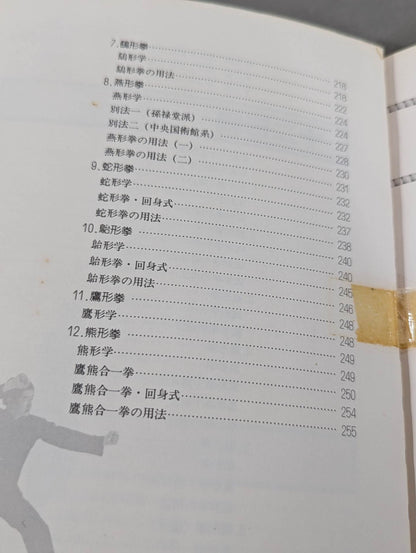 中国拳法 形意拳入門