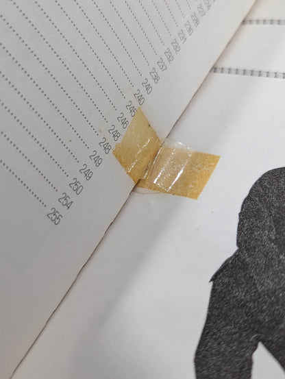 中国拳法 形意拳入門