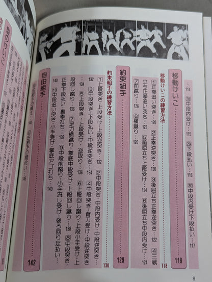 山崎照朝の実戦空手  基本技から直接打撃試合のテクニックまで