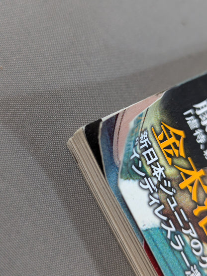 Series Paradoxical Pro Wrestling Vol.14 New Japan Pro Wrestling The truth behind the "rule-breaking fighting match"