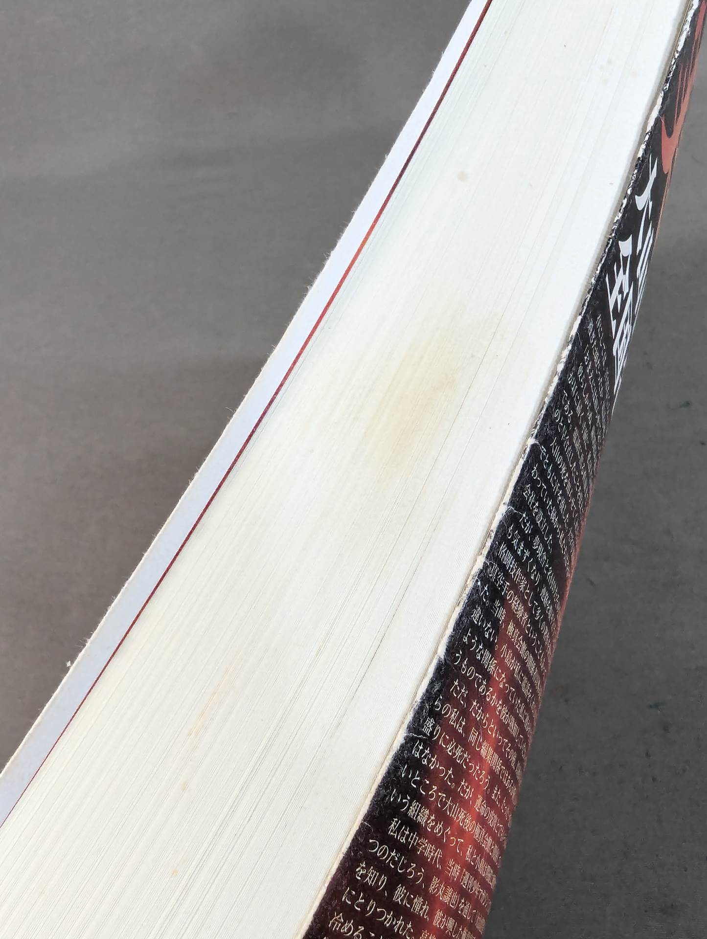 実録!!極真大乱 大山倍達の死と､全国各派の真実