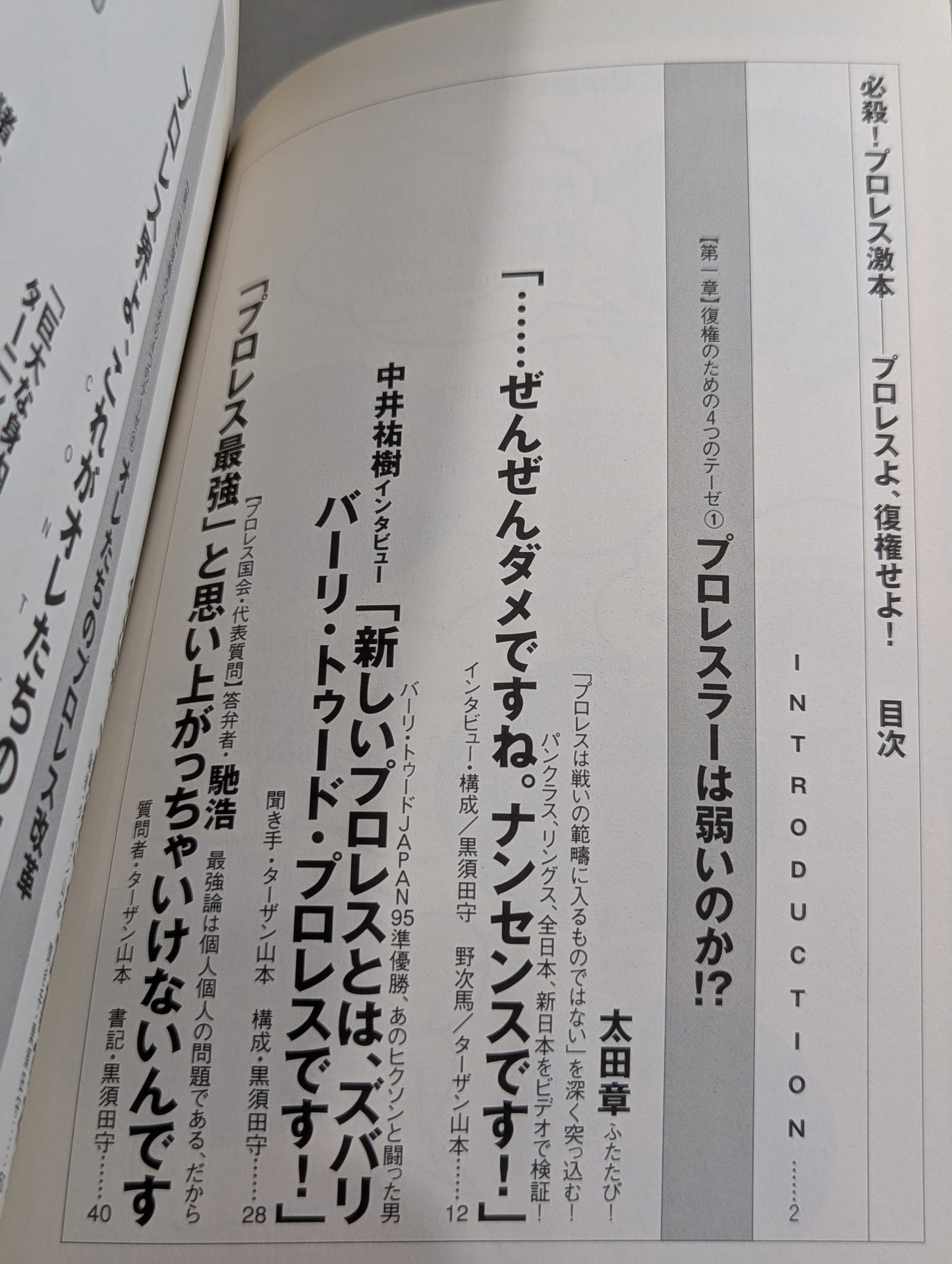 Deadly! Pro Wrestling  Gekimoto 2 Say it again Pro Wrestling , reinstate!