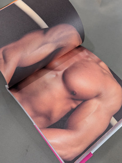New Japan Pro Wrestling  Pectoral Encyclopedia