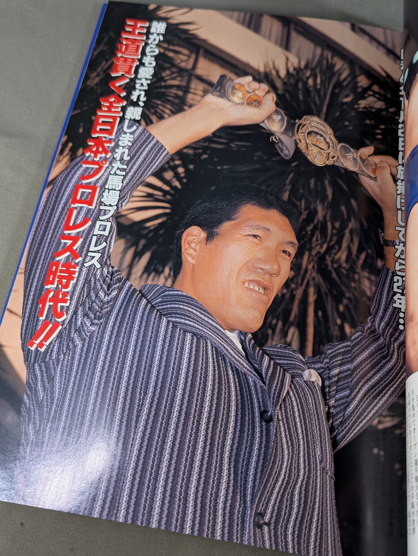 ジャイアント馬場 引退記念 ありがとう王道16文!!