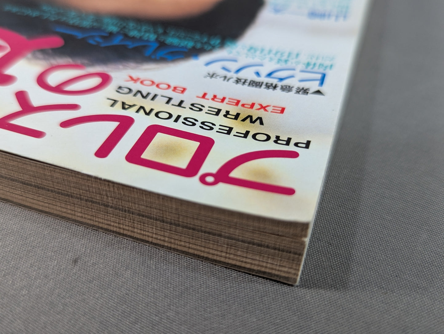 Pro Wrestling Master Vol.11 Detoxify UWF!