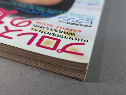 Pro Wrestling Master Vol.11 Detoxify UWF!