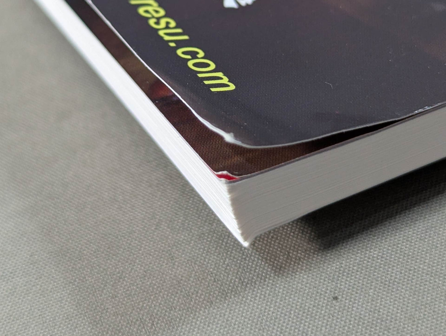 Dr. Mick's Showa Pro Wrestling Magazine No. ★ 49 Special Feature: MSG Series (1) & Pre-Japan Fighters rights ★