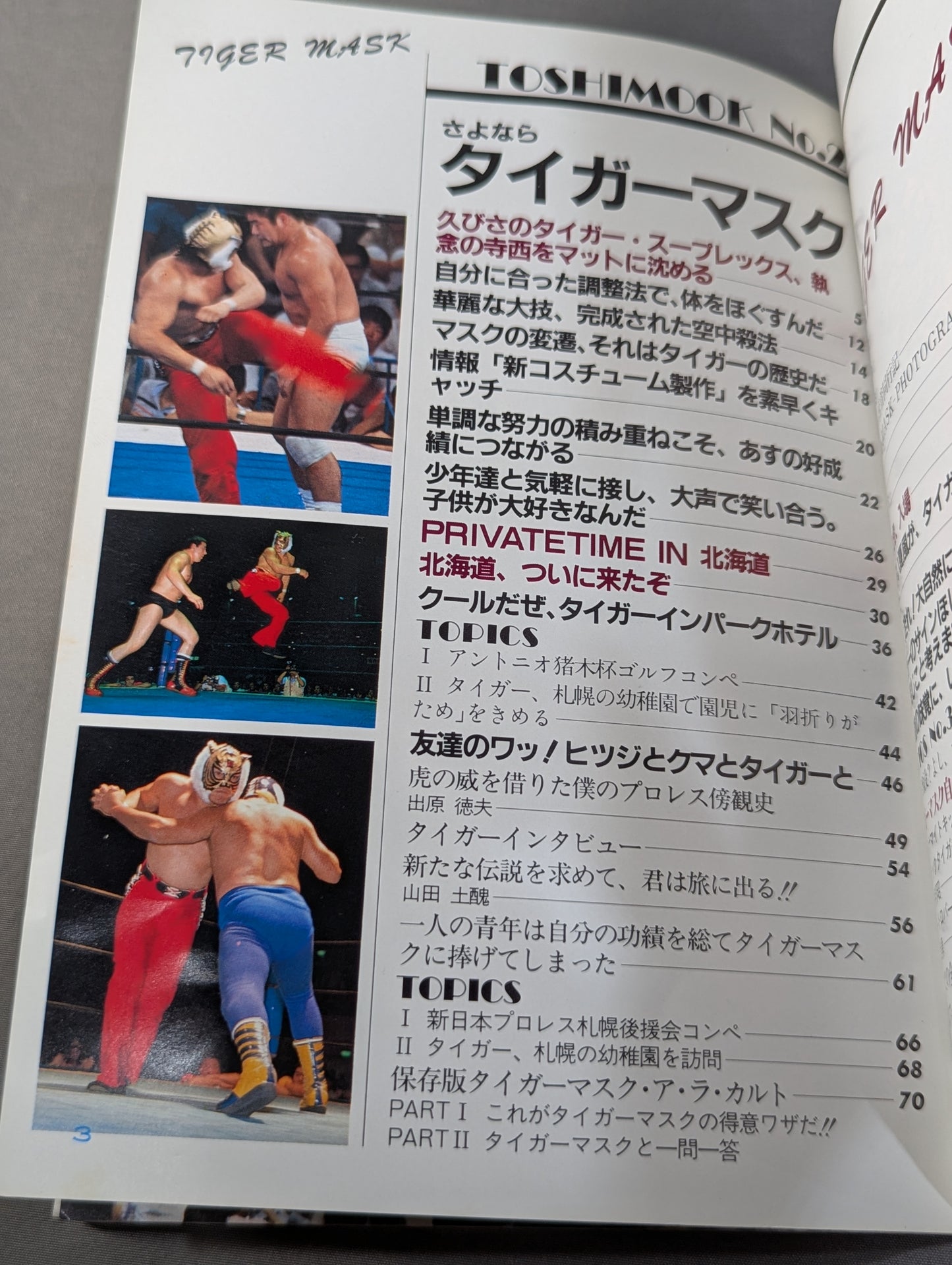 さよならタイガーマスク