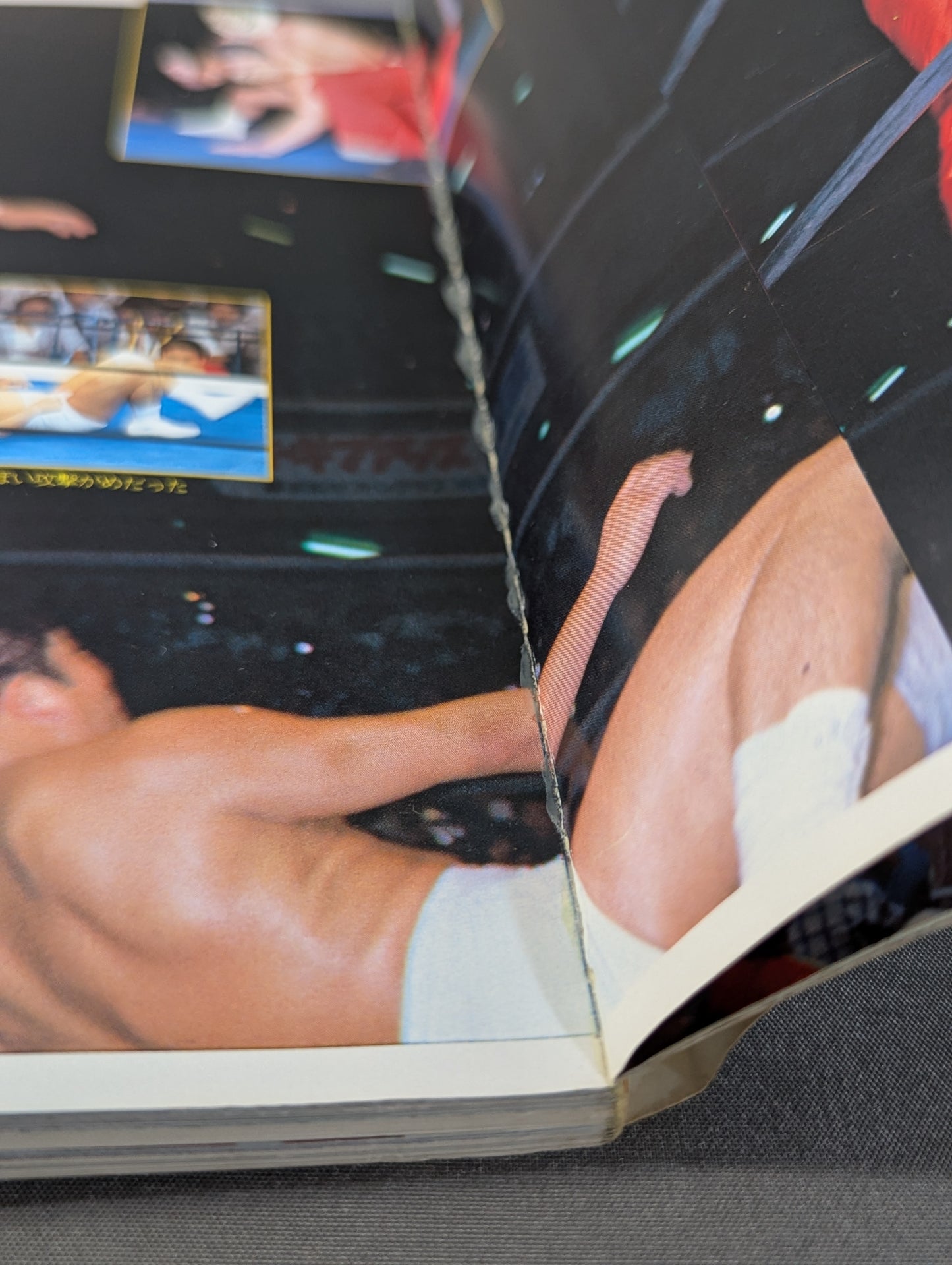 さよならタイガーマスク