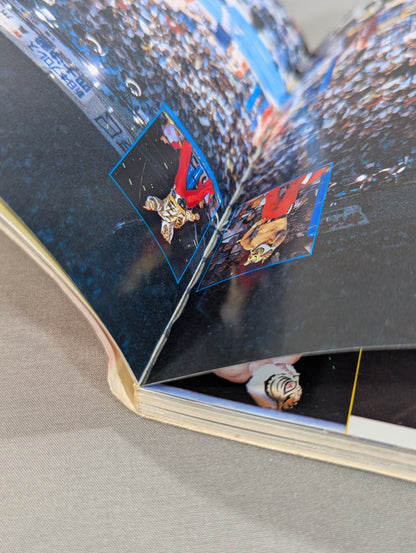 さよならタイガーマスク