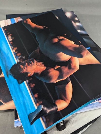 INOKI  Antonio Inoki Retirement commemorative official photo collection