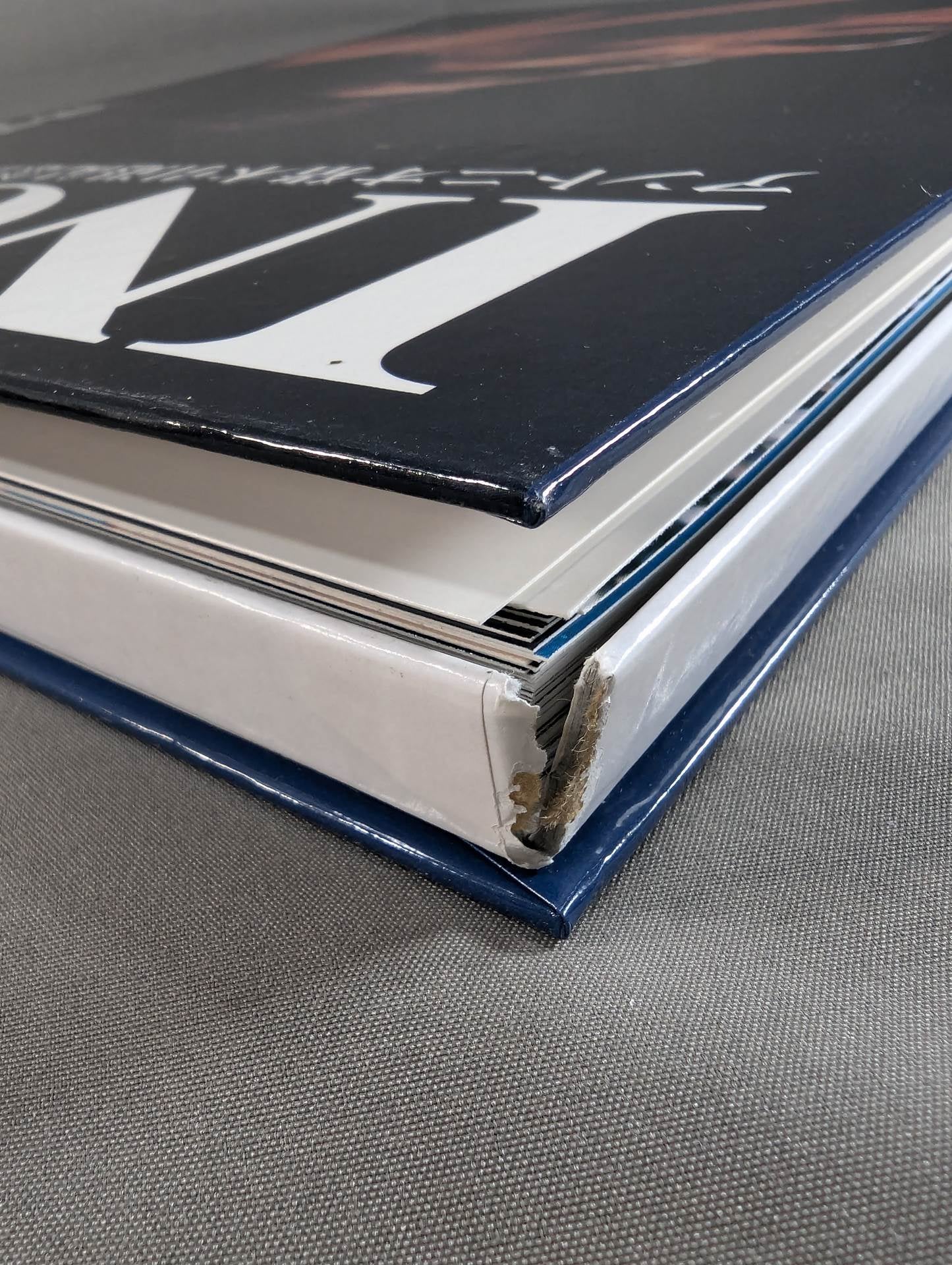 INOKI  Antonio Inoki Retirement commemorative official photo collection