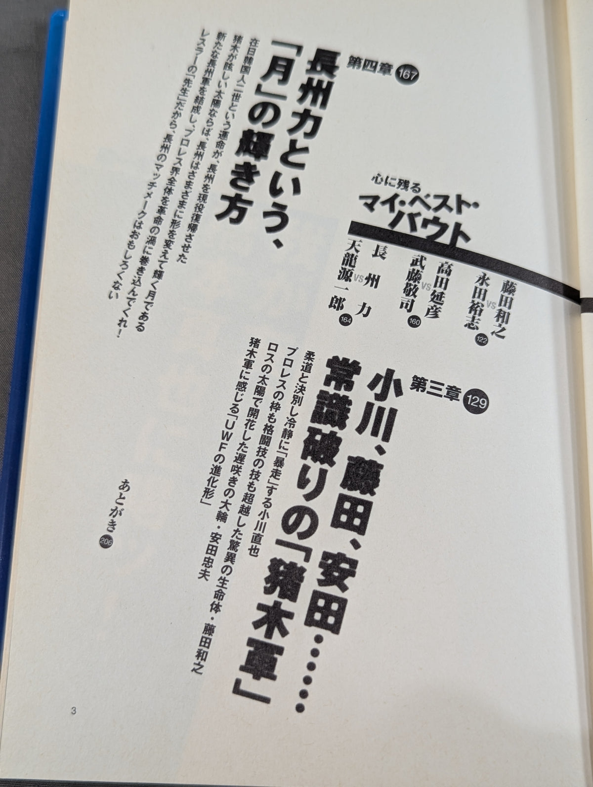 プロレス裏実況  何が起こってもおかしくない!