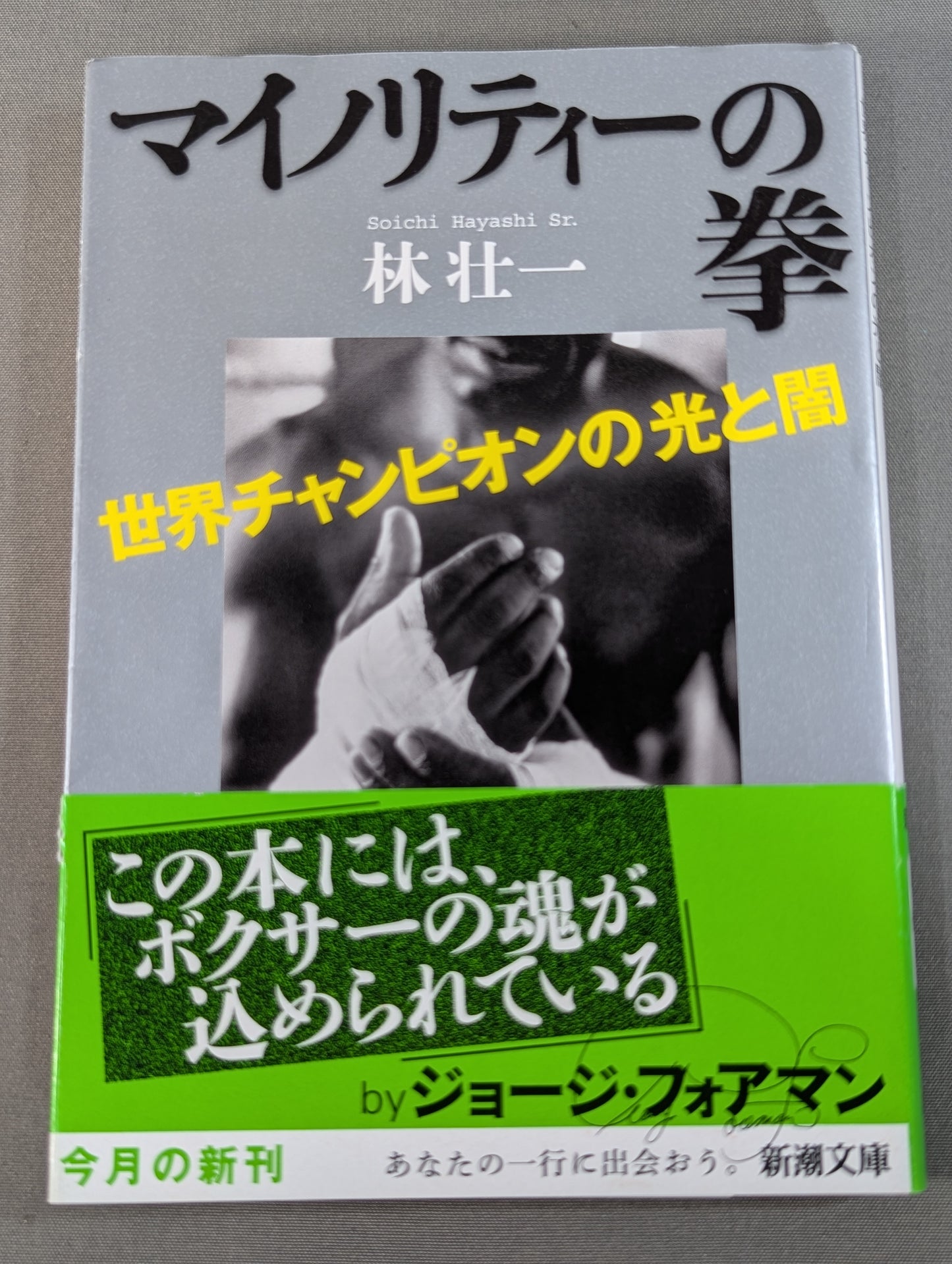 Fist of the Minority: Light and Darkness of the World Champion