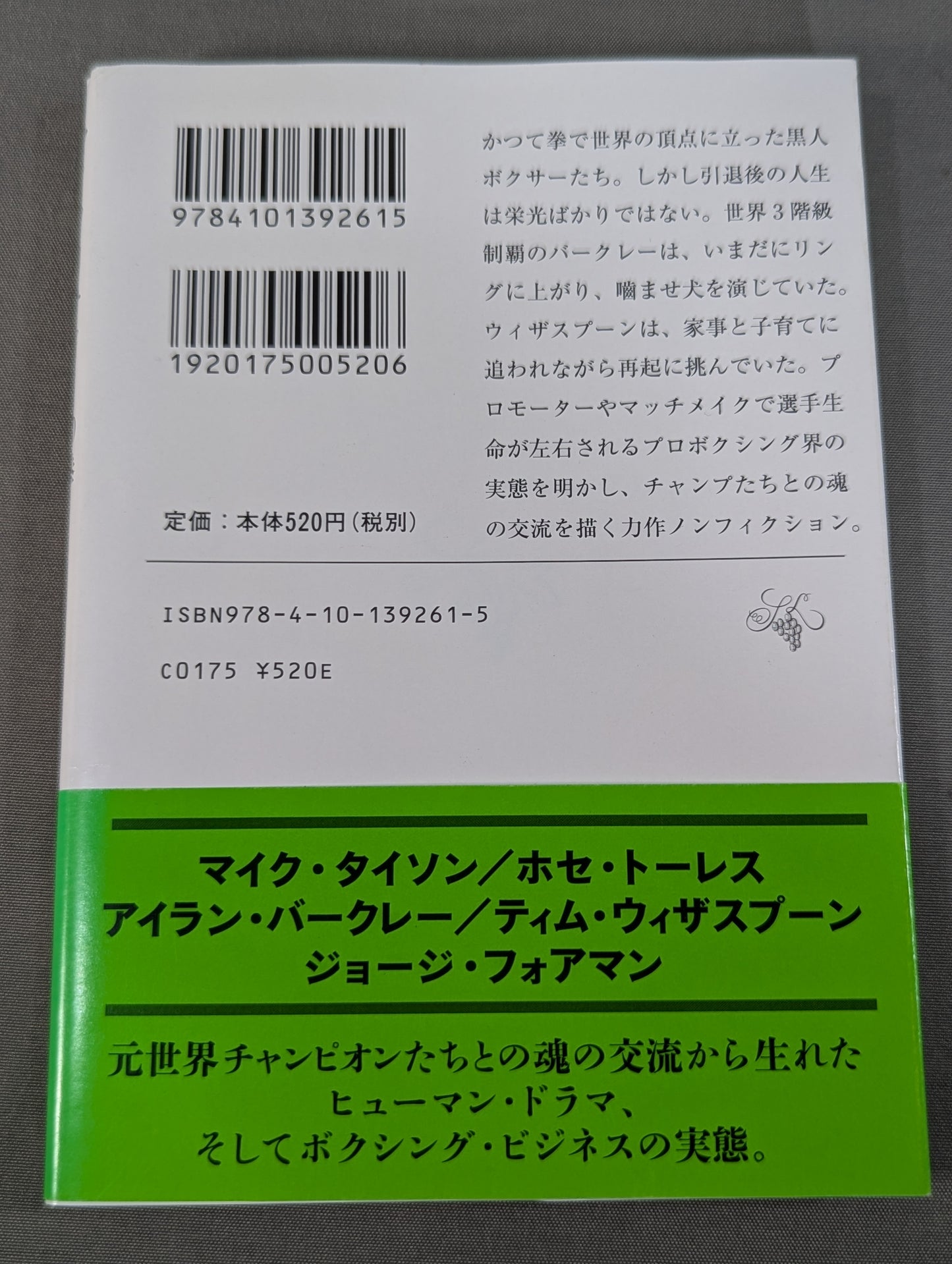 Fist of the Minority: Light and Darkness of the World Champion