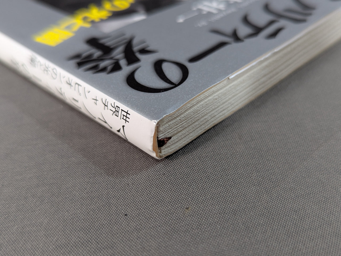 Fist of the Minority: Light and Darkness of the World Champion