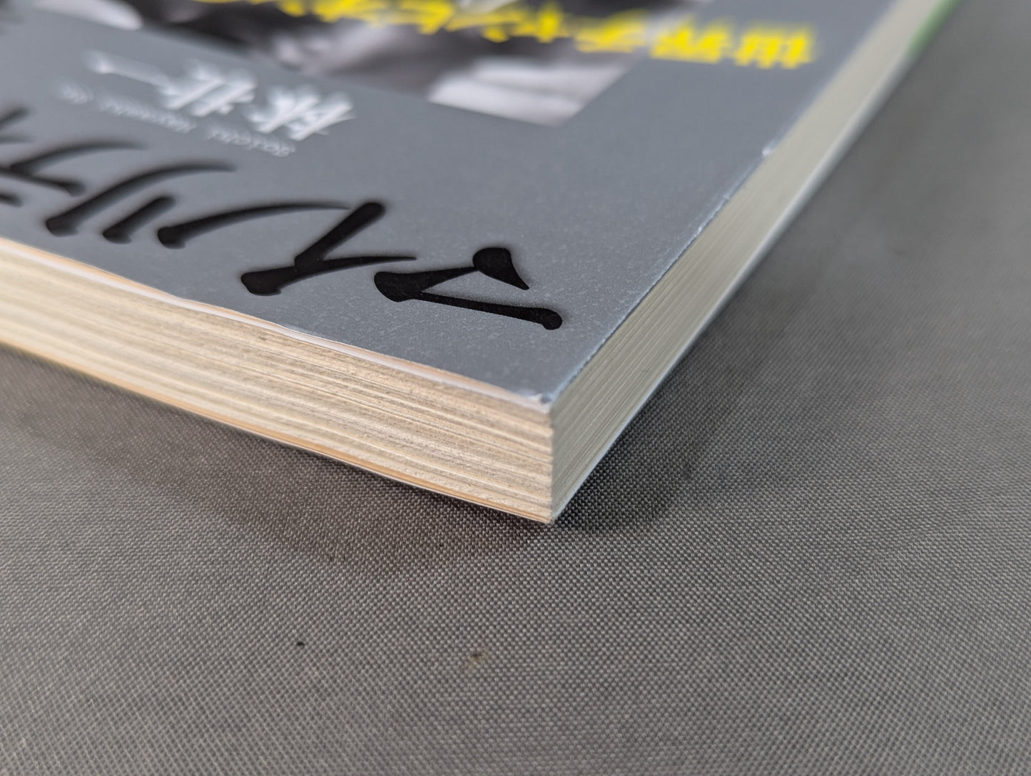 Fist of the Minority: Light and Darkness of the World Champion