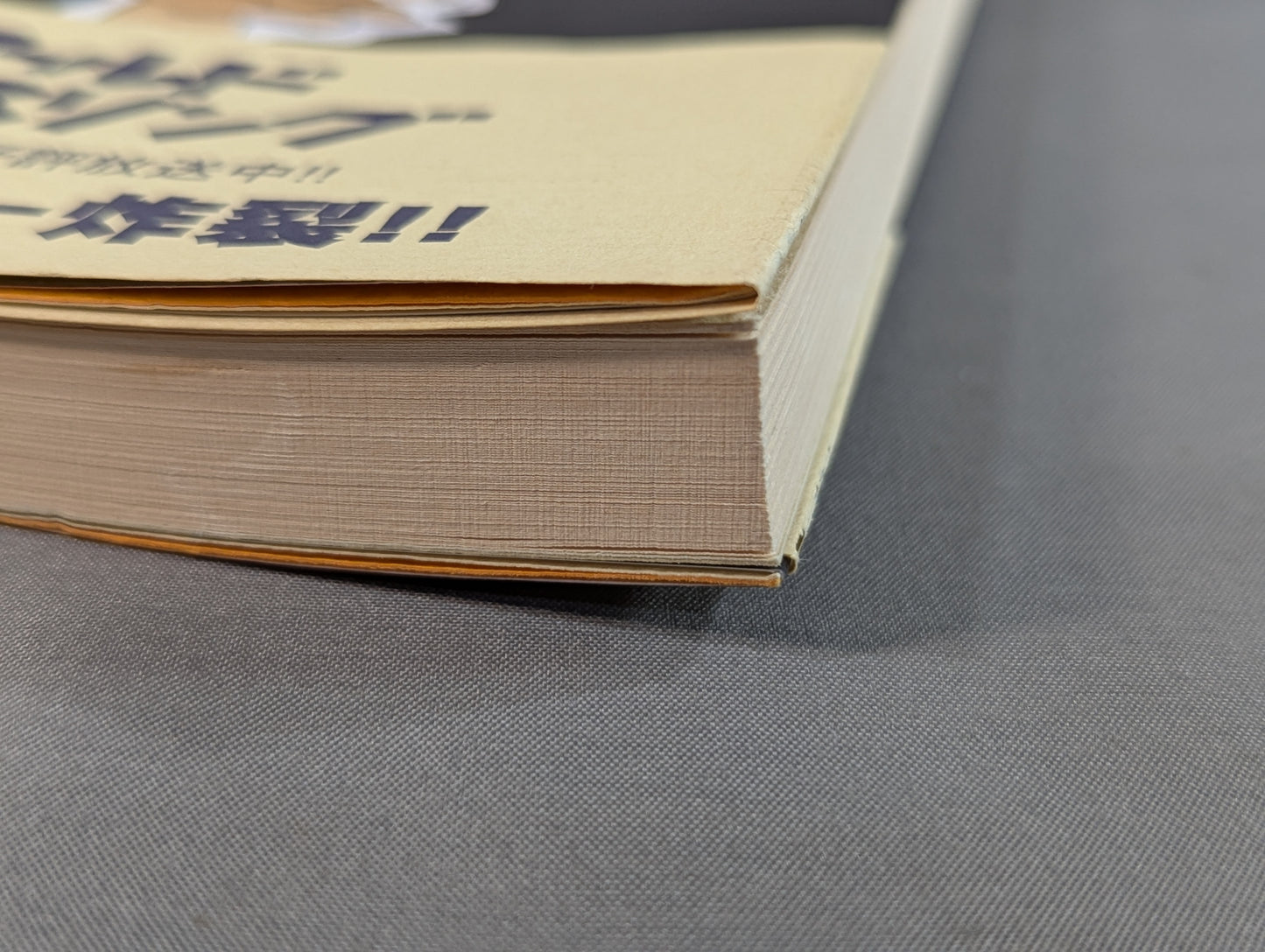 Kero's 'I'm definitely a ring announcer!'?  New Japan Pro Wrestling Travel Diary 2003 Edition