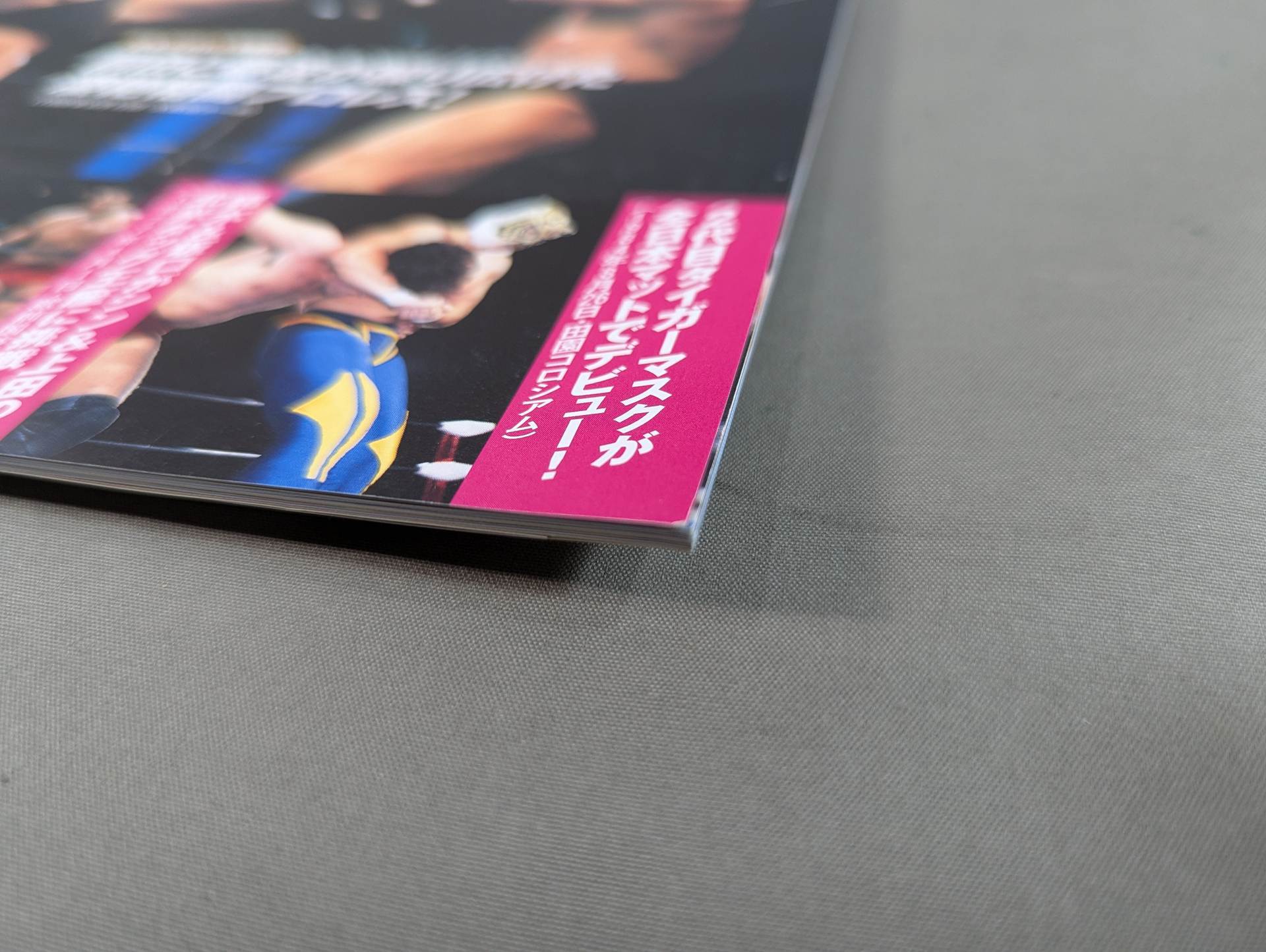 日本プロレス激闘60年史 (30) – 闘道館