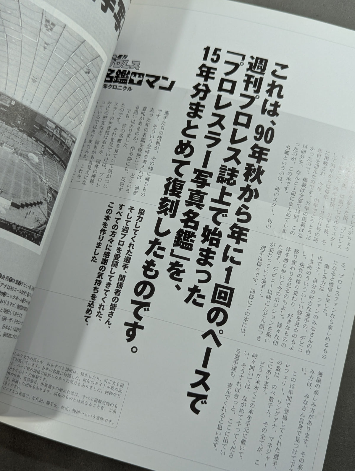 Weekly Pro Wrestling  Romance 15 Year Chronicle