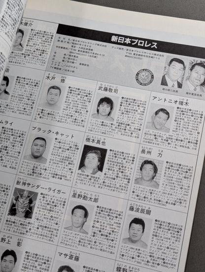 Weekly Pro Wrestling  Romance 15 Year Chronicle