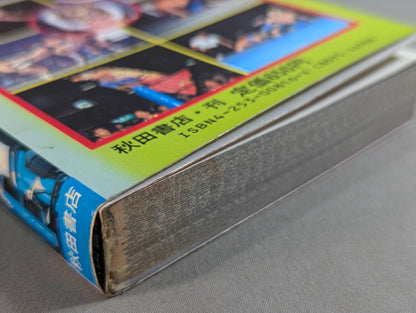 Tiger Mask Encyclopedia All about champion and tiger mask
