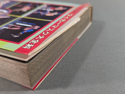 Tiger Mask Encyclopedia All about champion and tiger mask