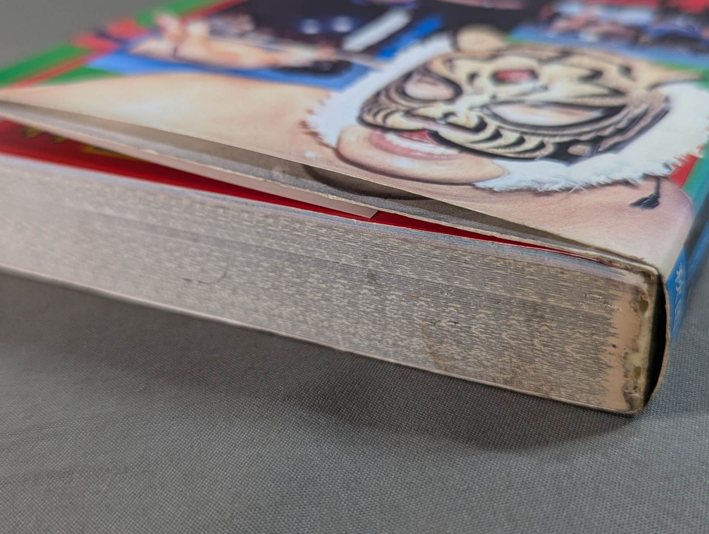 Tiger Mask Encyclopedia All about champion and tiger mask