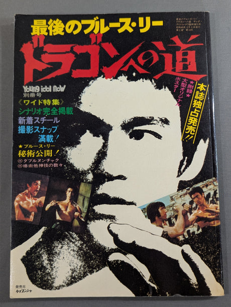 最後のブルース・リー ドラゴンへの道