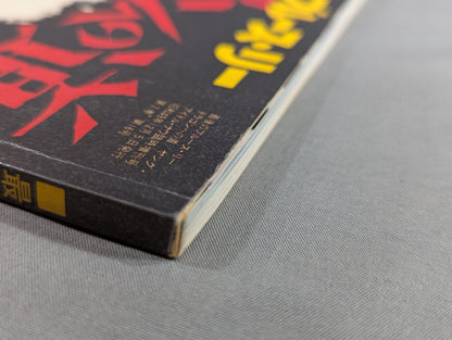 最後のブルース・リー ドラゴンへの道