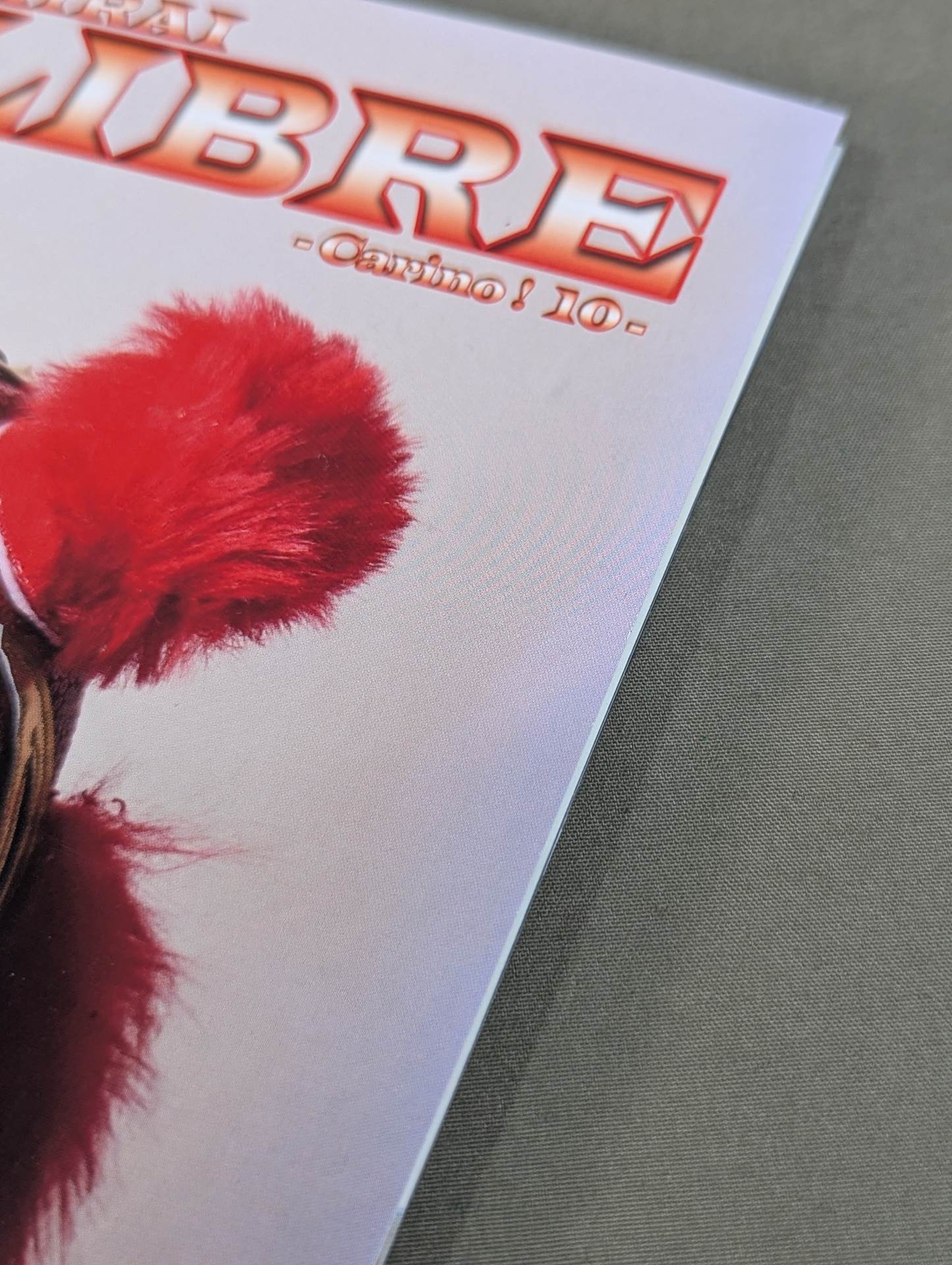 [Io Shirai (Iyo Sky)  hand signed autograph 】FOTOLIBRE de Mascara Numero.67