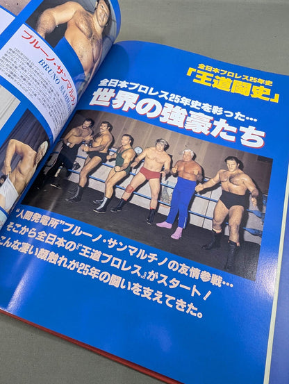 全日本プロレス25年史 ｢王道闘史｣